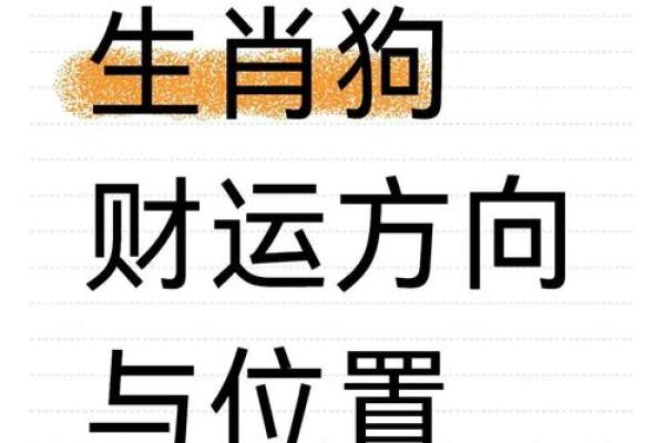 属狗人的运势分析与解读 属狗人的运势分析与解读