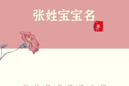 宝宝起名宝典，助力打造独特名字