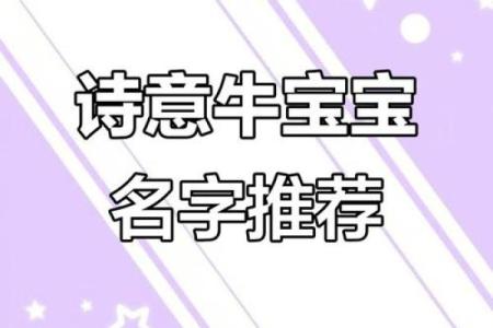 牛宝宝名字大全：带来好运的精选命名方案
