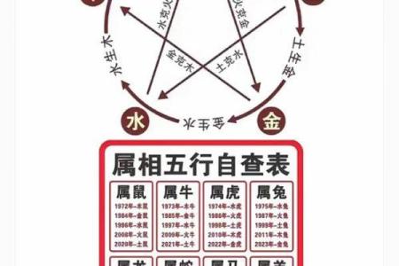 出生的人五行属什么，看看你属于哪一类五行属性