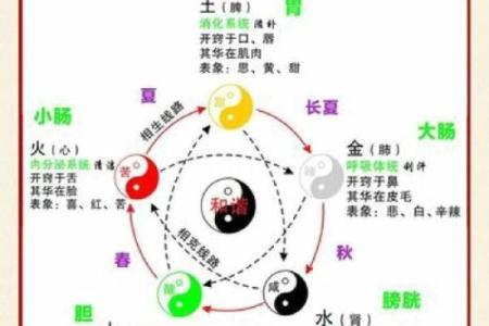 蟲的五行分析：揭开五行与虫类的神秘联系