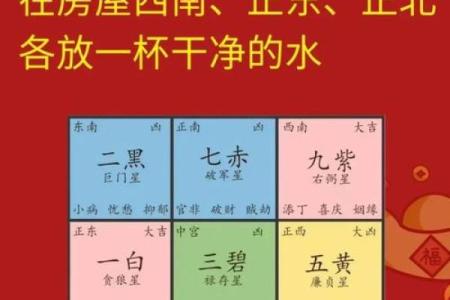 逼龙风水图的设计技巧与风水效果提升