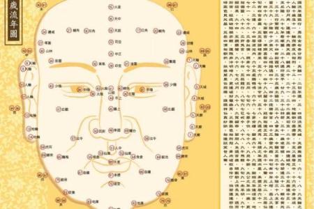 从眉毛看风水：你是否知道这些面相秘密