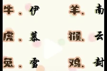 八个字名字在命名中的深层含义