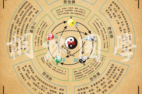 陈智豪五行理论的奥秘:如何通过五行找到你的命运关键 陈智豪五行理论的奥秘:如何通过五行找到你的命运关键