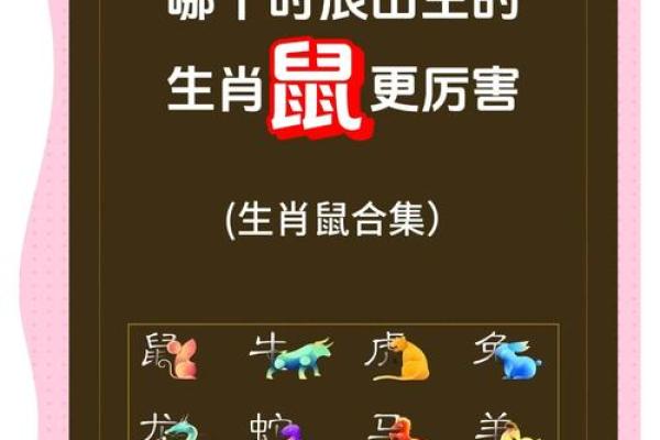 鼠年每月运程解析与建议 鼠年每月运程解析与建议