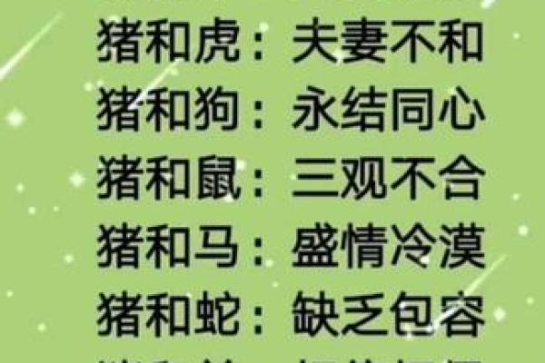 属猪的人与哪些生肖最合适 属猪的人与哪些生肖最合适