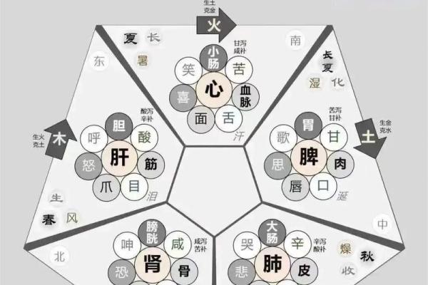 步的五行属性揭秘:了解它对你生活的深刻影响 步的五行属性揭秘:了解它对你生活的深刻影响