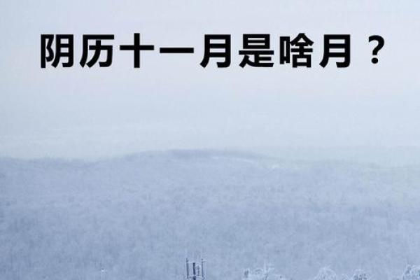 揭秘农历十一月十五背后的历史与文化 揭秘农历十一月十五背后的历史与文化