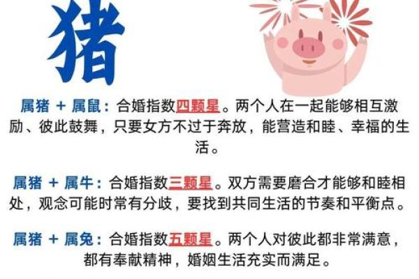 属鸡与属猪的缘分:性格互补还是冲突不断 属鸡与属猪的缘分:性格互补还是冲突不断