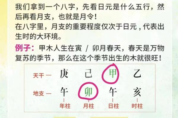 揭秘发八字背后的奥秘,如何通过命理找到人生方向 揭秘发八字背后的奥秘,如何通过命理找到人生方向