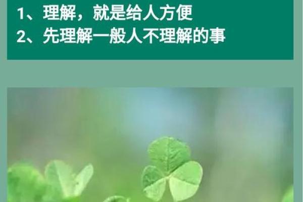 毕是命运的深层解析与人生指引 毕是命运的深层解析与人生指引