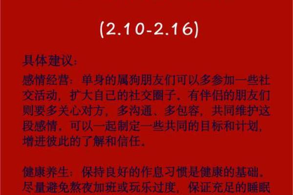 属兔狗年每月运势详解,全面解析运程 属兔狗年每月运势详解,全面解析运程