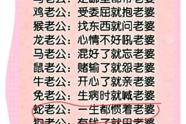属蛇与属兔的婚配兼容性探讨 属蛇与属兔的婚配兼容性探讨