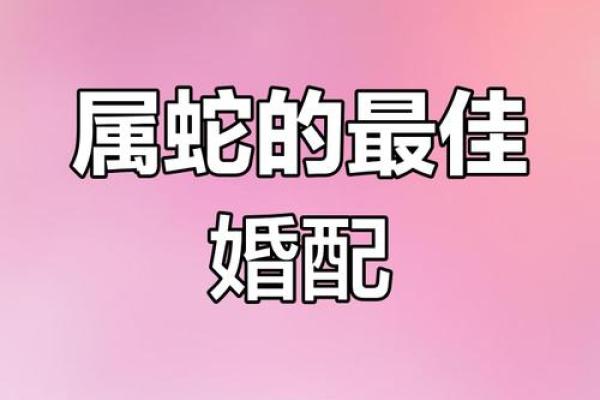 属狗男与属蛇女的婚姻是否和谐 属狗男与属蛇女的婚姻是否和谐