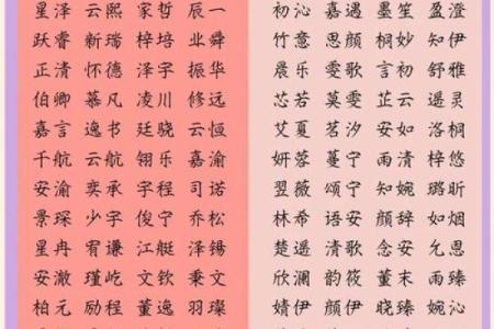 宝宝名字的选择指南：丛修的独特寓意与文化背景