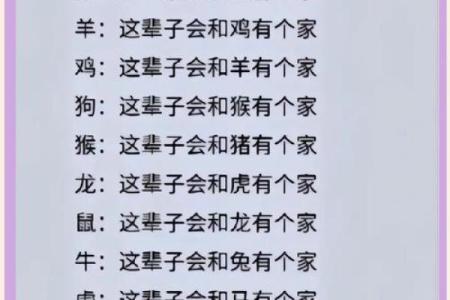 属相配对的最佳组合与婚姻运势分析