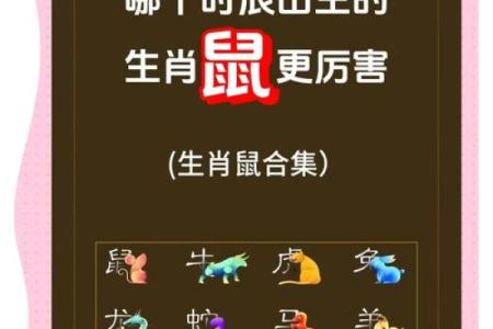 鼠年每月运程解析与建议
