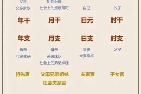 八字宫位解析：如何通过宫位看你的命运走势
