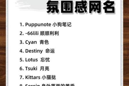 霸气英文名字的魅力与选择技巧