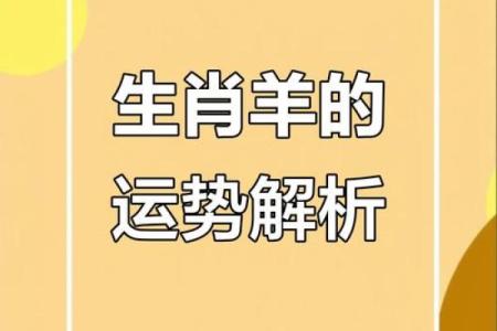 羊年命理：属羊人的性格与运势解析