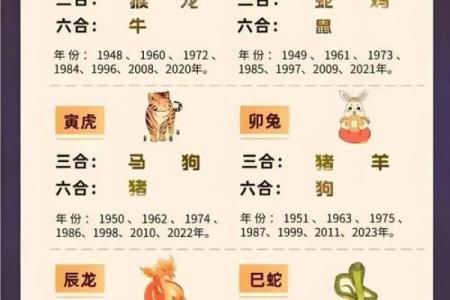 按照生肖走运，探索每月不同的运势变化
