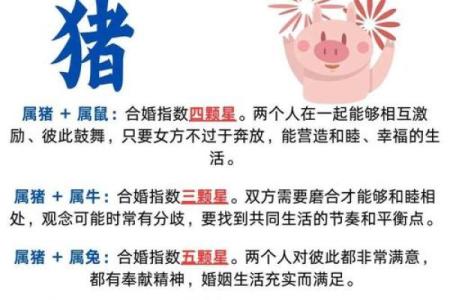 属鸡与属猪的缘分：性格互补还是冲突不断