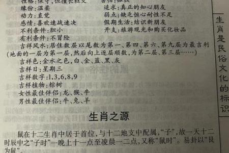属鼠人的运势与挑战