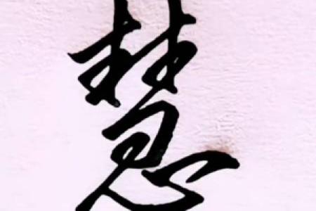 慧字入名，彰显女孩的聪颖与优雅