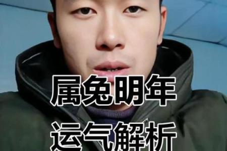 本命年兔男如何有效管理情绪