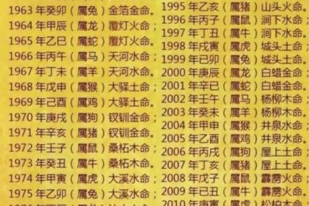 属相运势大揭晓：事业、财富与感情运势预测