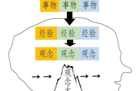 差不多的名字背后的心理学与消费者认知