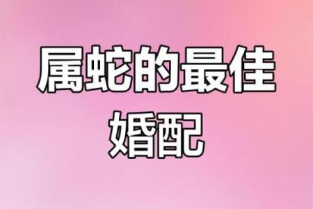属狗男与属蛇女的婚姻是否和谐