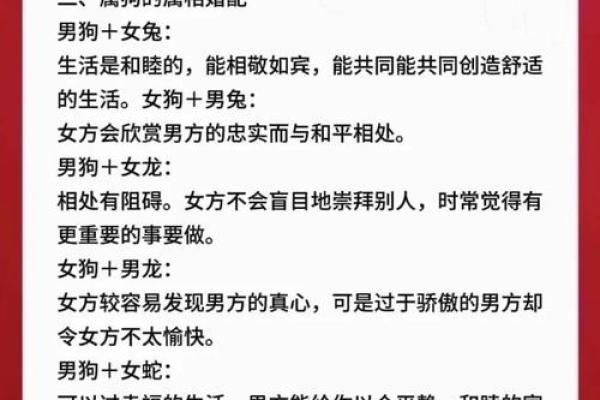 属狗与属龙的缘分如何?深入分析两者相配的可能性 属狗与属龙的缘分如何?深入分析两者相配的可能性