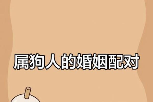属狗与属狗,婚姻相配吗?解析生肖配对的奥秘 属狗与属狗,婚姻相配吗?解析生肖配对的奥秘