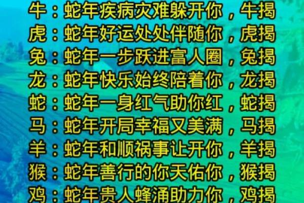 生肖运程预测:哪些属相将迎来幸运与突破 生肖运程预测:哪些属相将迎来幸运与突破