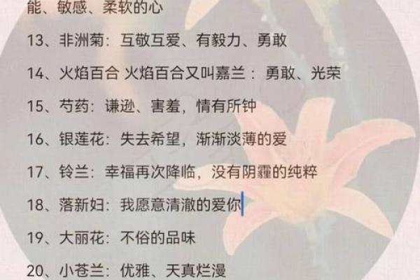 花命的象征意义及其对人生的启示