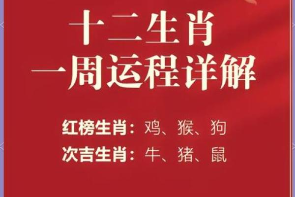猪生肖运势详解:怎样迎接新的一年 猪生肖运势详解:怎样迎接新的一年