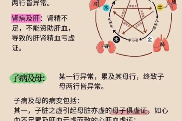 从李炎五行看人生运势：五行理论对生活的影响