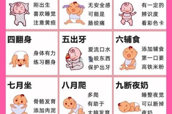 宝宝的生辰八字如何解析,教你看出孩子的性格和运势 宝宝的生辰八字如何解析,教你看出孩子的性格和运势