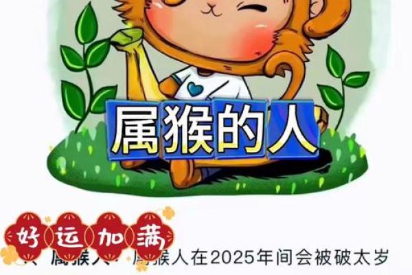 属猴人本命年如何做好自我提升 属猴人本命年如何做好自我提升
