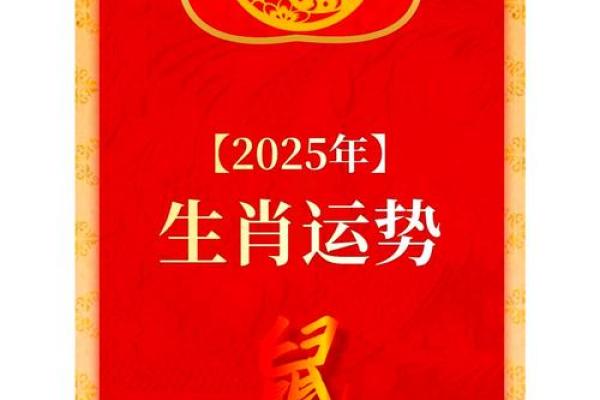 鼠人运势展望,每月运程的变化与机遇 鼠人运势展望,每月运程的变化与机遇