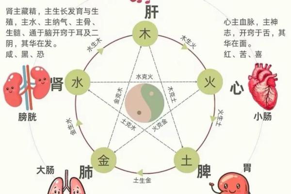 出生的人五行解析,了解你的命运走向 出生的人五行解析,了解你的命运走向