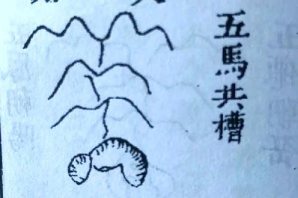 传奇家居风水四大要素解析及其应用技巧 传奇家居风水四大要素解析及其应用技巧