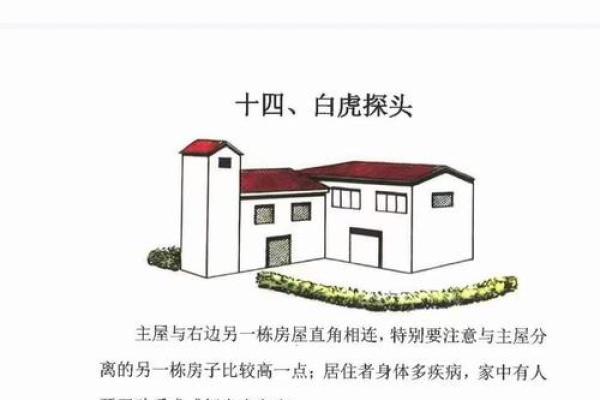 打造和谐家居风水的简单指南 打造和谐家居风水的简单指南