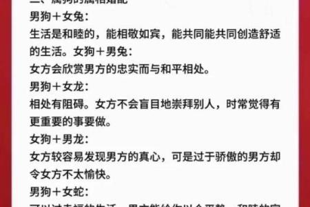 属狗与属龙的缘分如何？深入分析两者相配的可能性