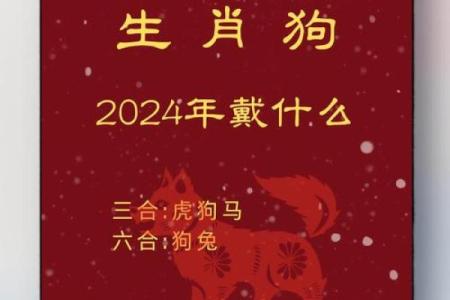 属狗与属狗，婚姻相配吗？解析生肖配对的奥秘