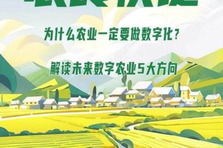 创新驱动农业：从传统到现代的跨越