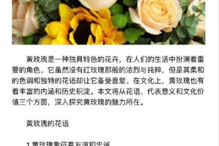 花命的象征意义及其对人生的启示