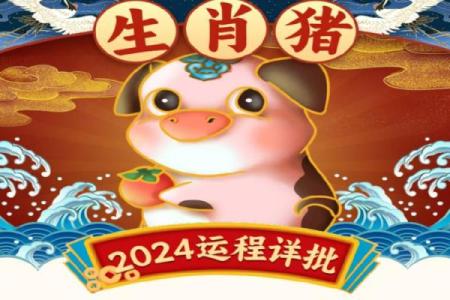 猪生肖运势详解：怎样迎接新的一年